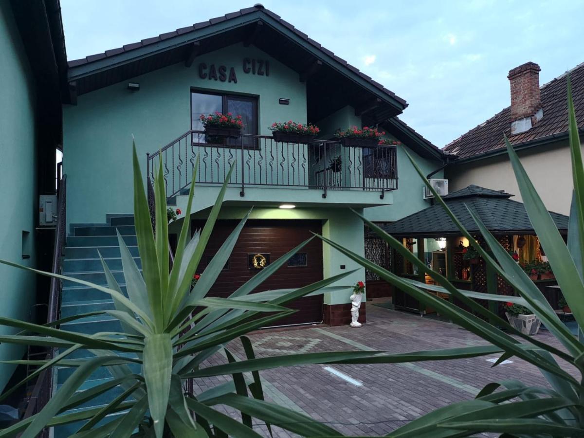 מלון Călimăneşti Casa Cizi מראה חיצוני תמונה