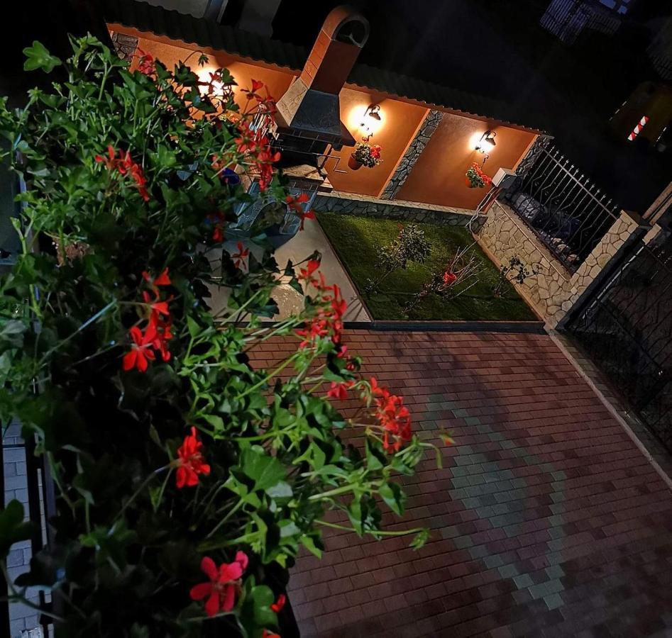 מלון Călimăneşti Casa Cizi מראה חיצוני תמונה