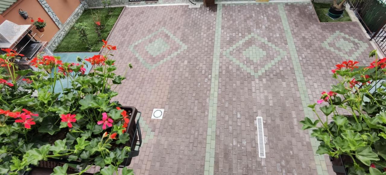 מלון Călimăneşti Casa Cizi מראה חיצוני תמונה